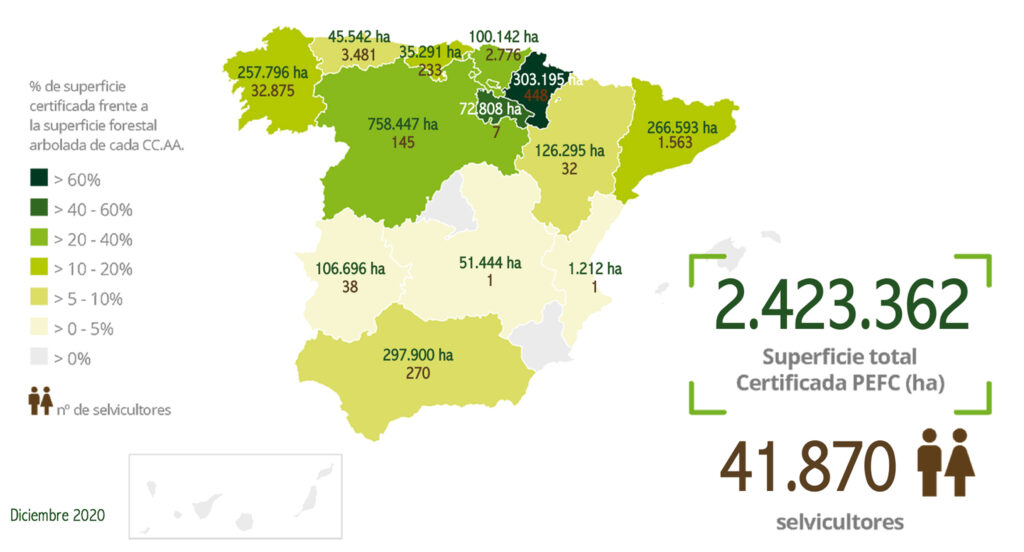 Un Mundo En El Que Las Personas Gestionan Los Bosques De Forma Sostenible Toca Madera · Sounds 8235